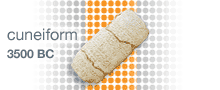 [cuneform]